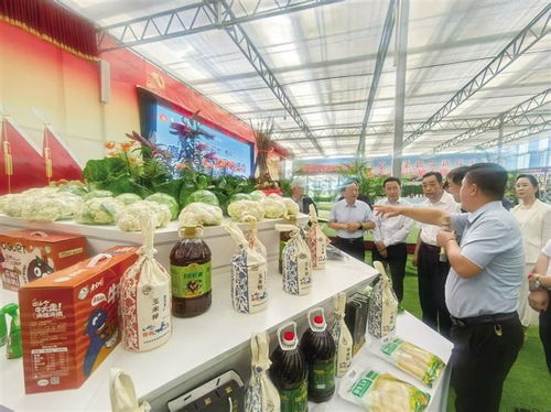 2025中國榆中高原夏菜新品博覽會盛大開幕，1087個新品種引領農業創新