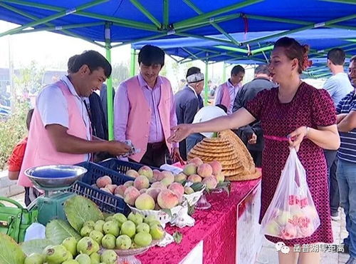 農副產品促銷會 打通產銷對接，助力脫貧攻堅的堅實橋梁