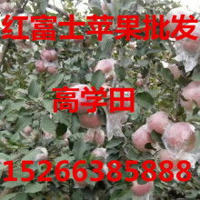 宏源農(nóng)副產(chǎn)品購銷處 打造優(yōu)質農(nóng)副產(chǎn)品供應鏈的橋梁