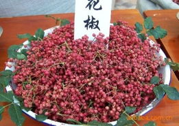 萊蕪市萊城區(qū)嘉譽農(nóng)副產(chǎn)品購銷中心調味香料與特色農(nóng)副產(chǎn)品全覽