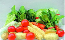 農副產品 連接土地與餐桌的自然饋贈