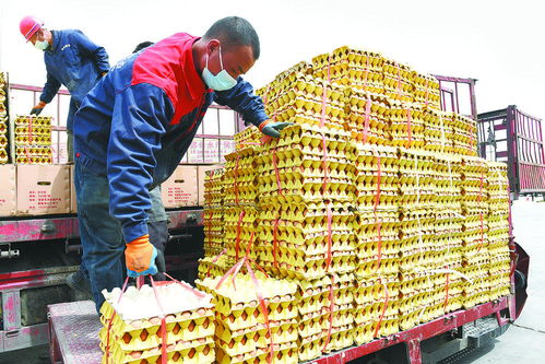 菜籃子里的抗疫力量——西寧市農副產品市場保供見聞