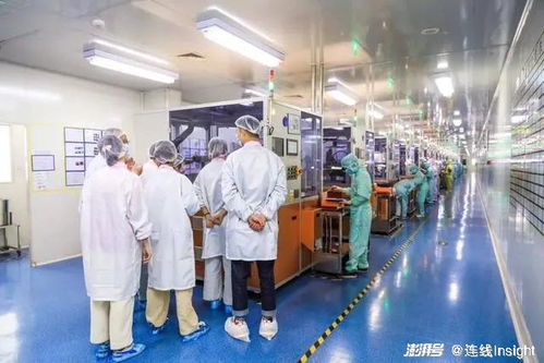 業績向好，股價卻下跌 新消費‘第一股’們怎么了？