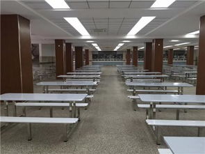 廣東鴻美佳家具廠專業(yè)定制不銹鋼餐桌椅 品質(zhì)、定制與價格解析